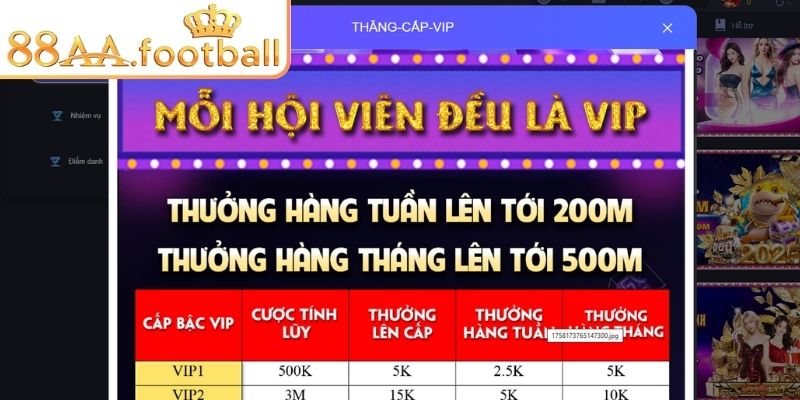 Hệ thống VIP và điểm thưởng
